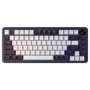 کیبورد بی سیم/باسیم مکانیکال گیمینگ ردراگون Geb K673WB PRO