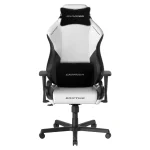 صندلی گیمینگ دی ایکس ریسر Drifting Series 2025 L Winter