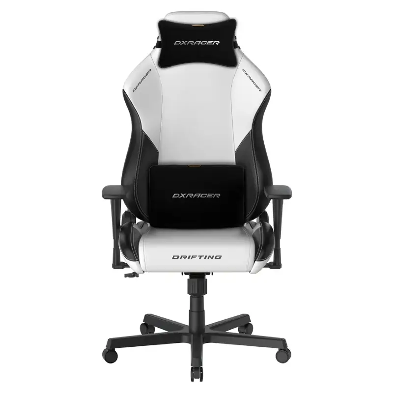 صندلی گیمینگ دی ایکس ریسر Drifting Series 2025 L Winter