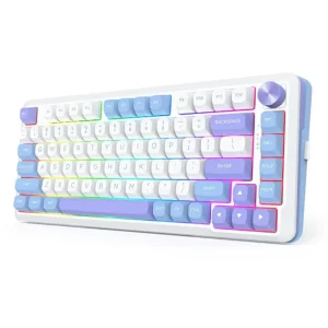 کیبورد بی سیم مکانیکال گیمینگ ردراگون Cyrus PRO K681 WBP