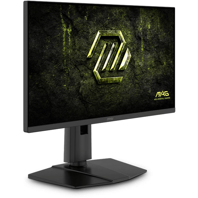 مانیتور ام اس ای 23.8 اینچ مدل MAG 245PF X24