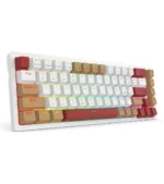 کیبورد بی سیم مکانیکال گیمینگ ردراگون Rammus K677 WLR Pro