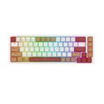 کیبورد بی سیم مکانیکال گیمینگ ردراگون Rammus K677 WLR Pro